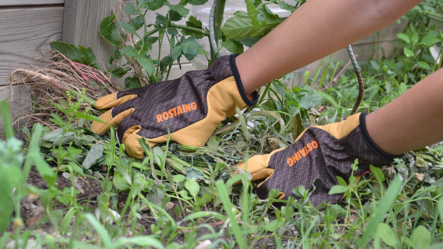 Les gants Rostaing : une seconde peau pour jardiner sans risque - Zone  Outillage